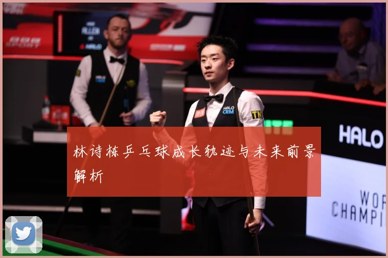 林诗栋乒乓球成长轨迹与未来前景解析